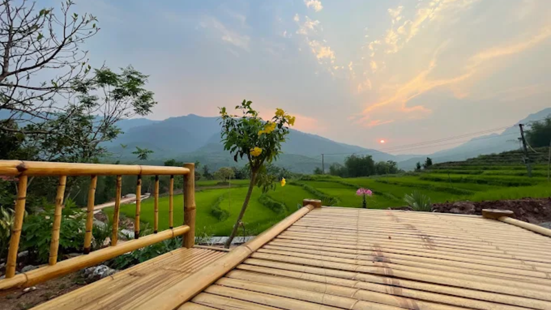 https://files.locallife.asia/images/800/1764398967093-Thiết kế chưa có tên - 2025-11-29T134545.765.png